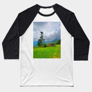 Tree and Rock on the Blue Ridge Parkway Baseball T-Shirt